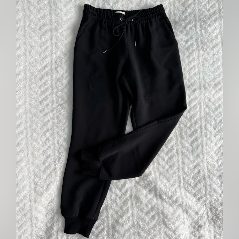 Aritzia Wilfred Jogger Pants